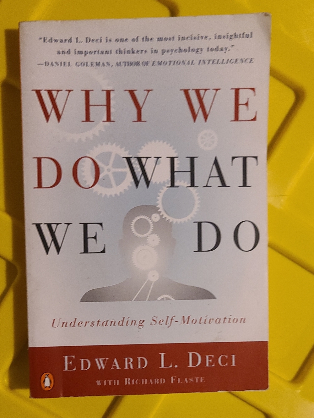Why We Do What We Do by Edward L. Deci Book